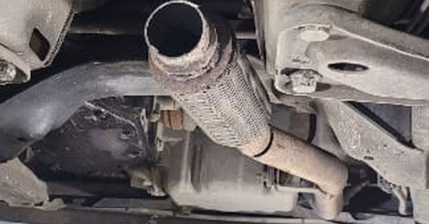 Złodziej zajmował się też uprawą konopi innych niż włókniste