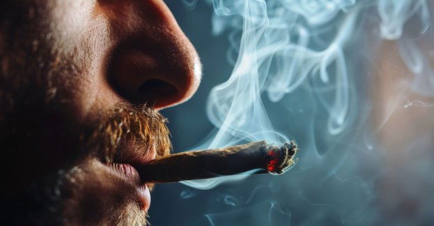 Marihuana najczęściej używaną substancją psychoaktywną po alkoholu, kofeinie i nikotynie