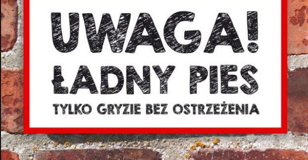 Właściciel psów będzie odpowiadał za złamanie prawa
