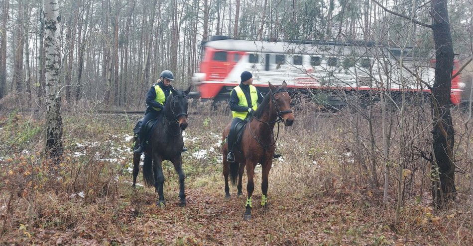 zdjęcie: Konie służbowe w akcji TOR zwiększają bezpieczeństwo kolei / fot. KPP w Tomaszowie Mazowieckim