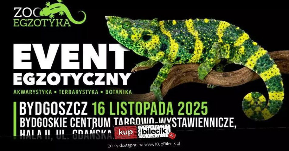 zdjęcie: ZooEgzotyka Bydgoszcz / kupbilecik24.pl / ZooEgzotyka Bydgoszcz