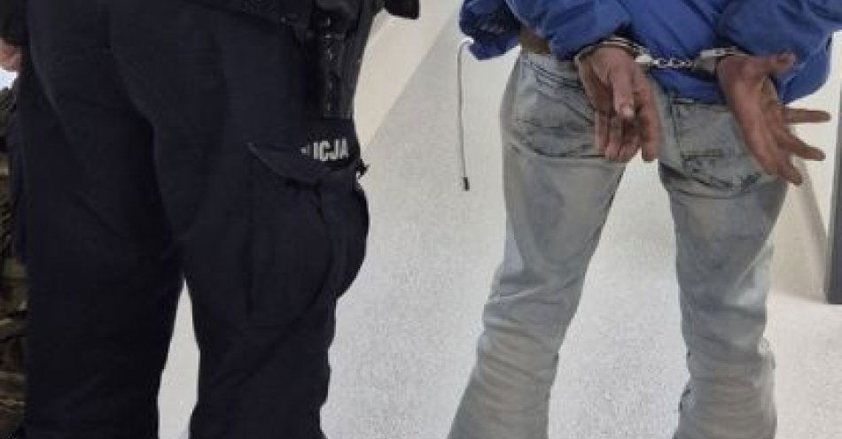 zdjęcie: Policja zatrzymała blisko 2 tysiące poszukiwanych w kraju / fot. KPP Pleszew