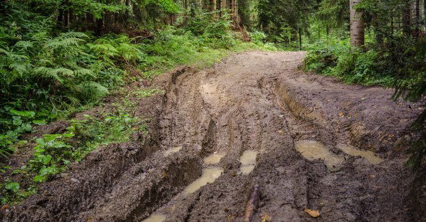 Wszystkie drogi przejezdne, w górach z błotem pośniegowym i śliskie