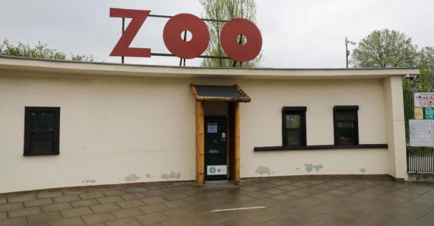 Warszawskie zoo wprowadza działania mające chronić przed pryszczycą