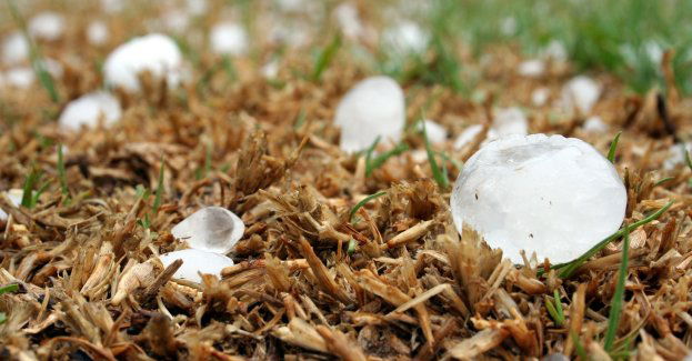 Kule gradu zniszczyły domy i uprawy, mieszkańcy szacują straty i czekają na pomoc (wideo)