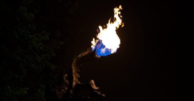 Smok Wawelski znów zionie ogniem