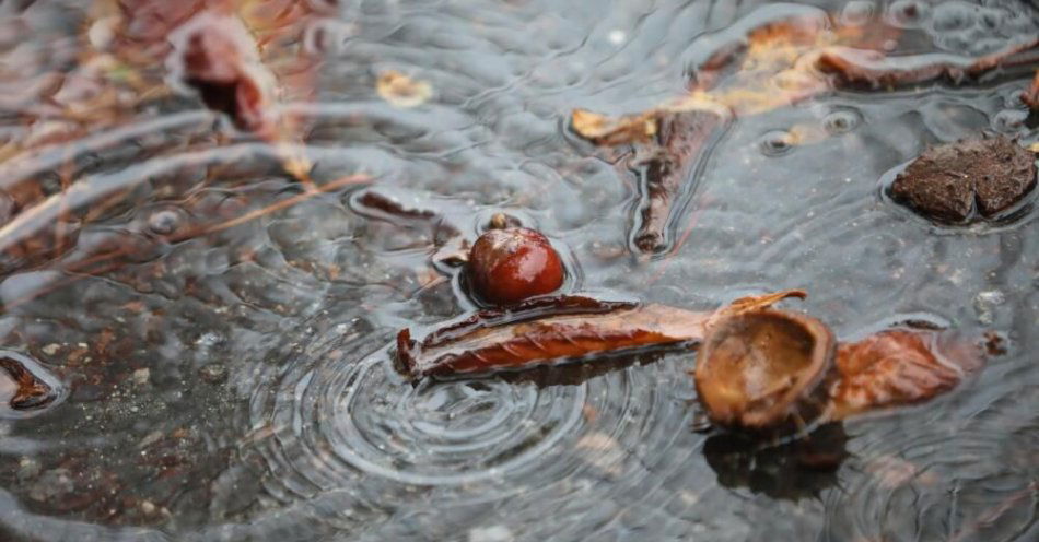 zdjęcie: Synoptyk IMGW: niż nad Polską - najbliższe dni pochmurne i deszczowe / Warszawa, 27.09.2020. Jesienne opady deszczu w Warszawie, 27 bm. Przez Polskę z południowego wschodu na północny zachód przemieszcza się układ niżowy, zaznaczają się również związane z nim fronty atmosferyczne.  (ls/awol) PAP/Leszek Szymański