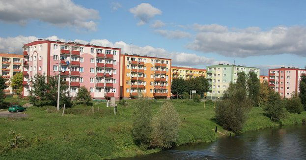 Szprotawa: klejnot lubuskiego południa