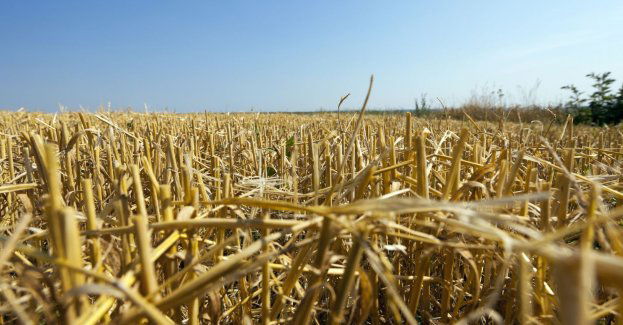 W poniedziałek komisje rozpoczną szacowanie strat po nawałnicach