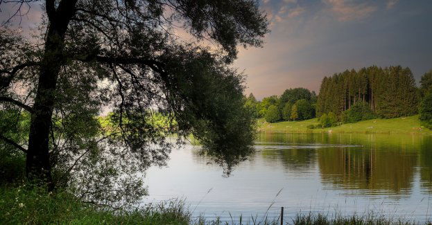 Siedemnasty dzień poszukiwania Grzegorza Borysa