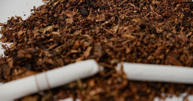 Ponad 230 kg lewego tytoniu w przesyłkach kurierskich