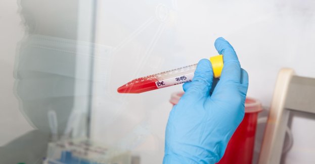 Wyniki badań DNA potwierdziły, że znaleziono zwłoki Jacka Jaworka