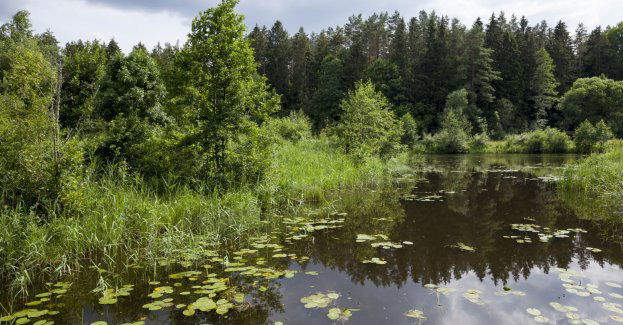 Dwa rezerwaty w regionie zostaną powiększone