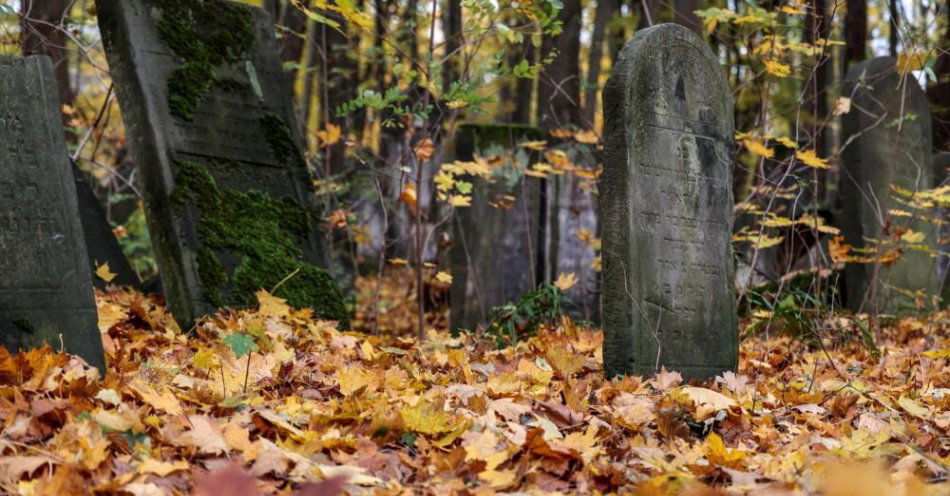 zdjęcie: Na cmentarz żydowski nie przynosi się kwiatów i nie zapala zniczy na grobach / Warszawa, 30.10.2025. Cmentarz żydowski w Warszawie, 30 bm. przed Dniem Wszystkich Świętych. Nekropolia założona w 1806 r. stanowi jedno z największych miejsc pochówku społeczności wyznawców judaizmu na świecie. PAP/Szymon Pulcyn