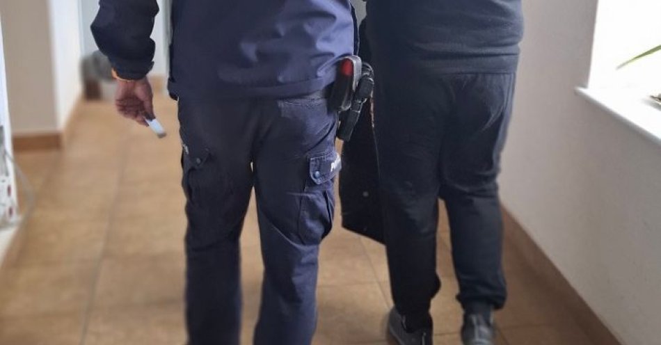 zdjęcie: Pijany kierowca z podrobionym prawem jazdy zatrzymany / fot. KPP w Pruszczu Gdańskim