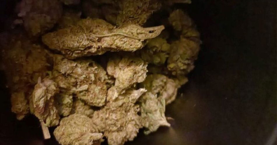 zdjęcie: Areszt za ponad 40 gramów marihuany i mefedronu w Pabianicach / fot. KPP w Pabianicach