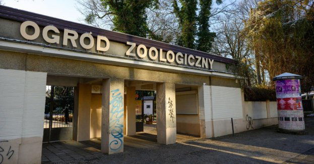 Nowe zarzuty dla b. dyrektorki poznańskiego zoo oraz trojga jej współpracowników
