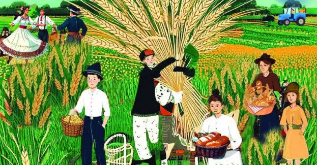 Dożynki wojewódzkie 2025 -spotykamy się w Myślęcinku!