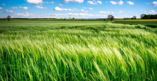 Rybnik walczy o tytuł Zielonej Stolicy Europy