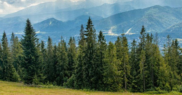 Śmiertelny wypadek w Tatrach