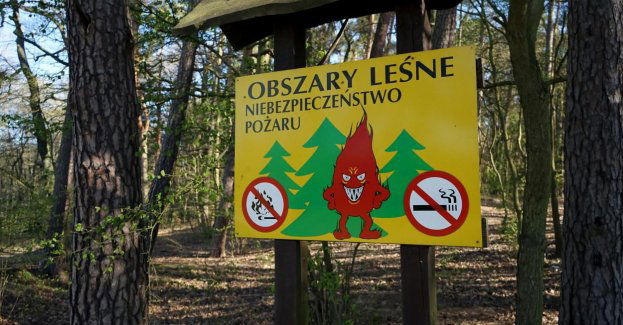 W lasach najwyższy stopień zagrożenia pożarowego