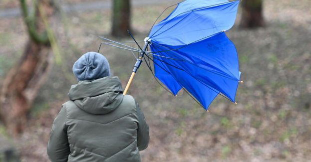 IMGW ostrzega przed silnym wiatrem na północy, wschodzie i południu kraju
