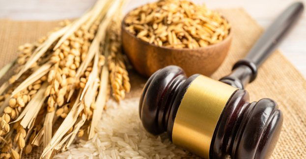 Sejm znowelizował ustawę o Kołach Gospodyń Wiejskich