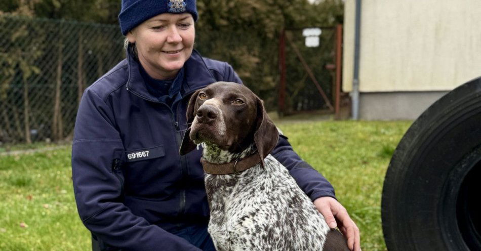 zdjęcie: Wado dołącza do policji jako specjalista od materiałów wybuchowych / fot. KPP w Bytowie