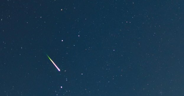 W poniedziałek wspólne oglądanie spadających gwiazd w ogrodzie botanicznym