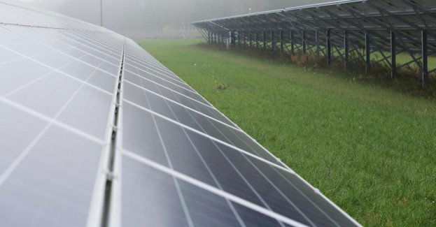 Do końca 2025 r. na Dolnym Śląsku powstanie farma fotowoltaiczna