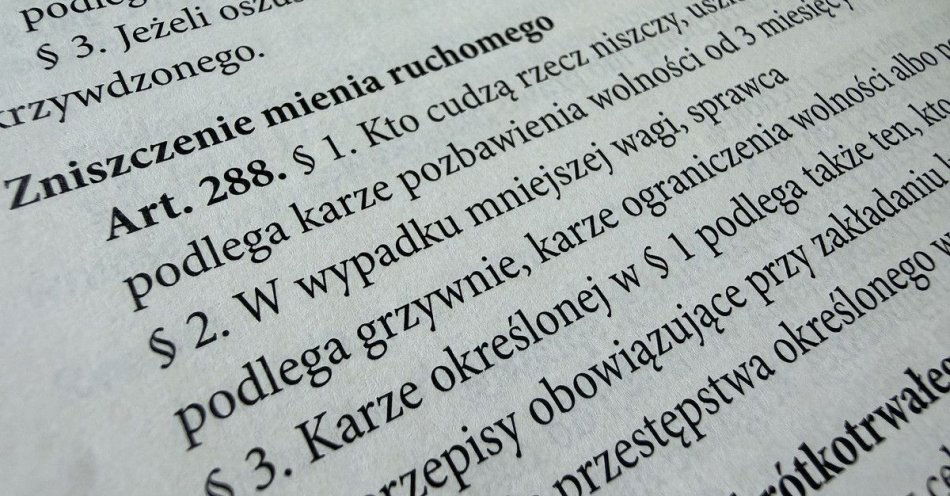 zdjęcie: Zatrzymany obywatel Gruzji po uszkodzeniu drzwi / fot. KPP w Sochaczewie