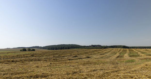 Śmiertelny wypadek podczas pracy na polu koło Szprotawy