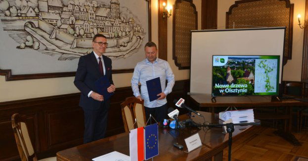 Olsztyn jeszcze zieleńszy