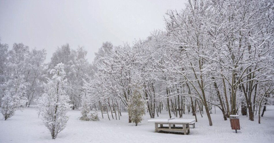 zdjęcie: Rzeczniczka IMGW: Boże Narodzenie mroźne, ale z wyczekiwanym śniegiem / Poznań, 26.11.2025. Śnieg w Poznaniu, 26 bm. We wtorek 25 bm. IMGW wydał ostrzeżenia I i II stopnia przed intensywnymi opadami śniegu w dziewięciu województwach. Może tam spaść do 25 cm śniegu. (sko) PAP/Jakub Kaczmarczyk