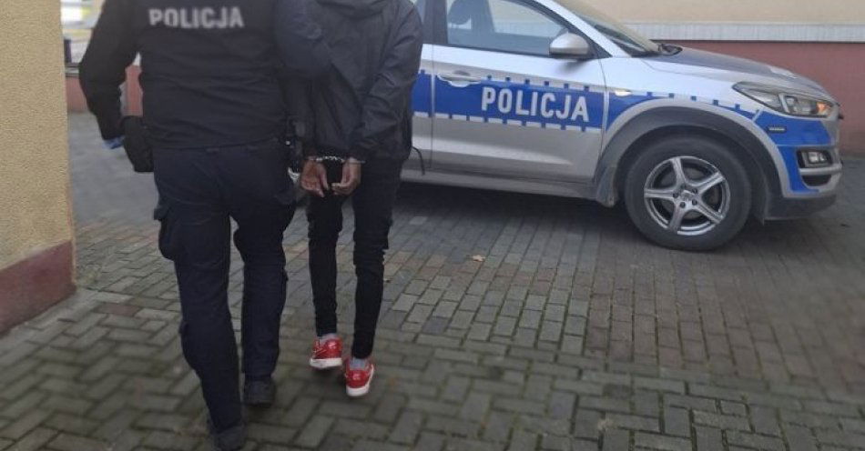 zdjęcie: Młody kierowca z Kolumbii ukarany po kolizji w Kowalach / fot. KPP w Pruszczu Gdańskim