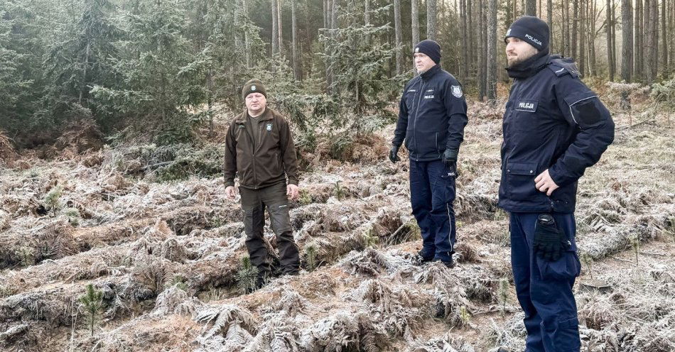 zdjęcie: Policja i Straż Leśna sprawdzają sprzedaż choinek / fot. KPP Żagań