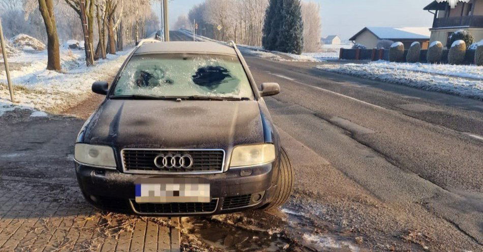 zdjęcie: Oblodzone samochody zatrzymane przez pszczyńską drogówkę / fot. KPP w Pszczynie