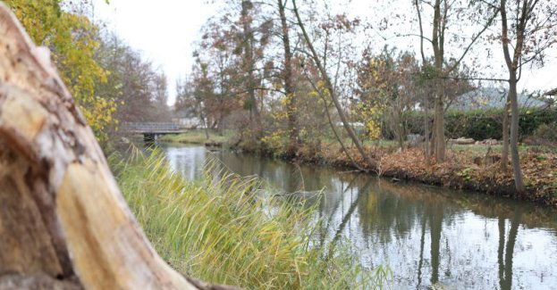 Bo zmiana klimatu puka do drzwi - o korzyściach udziału w programie szwajcarskim