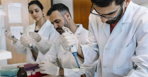 Uniwersytet Medyczny rozpoczyna program Młoda Nauka