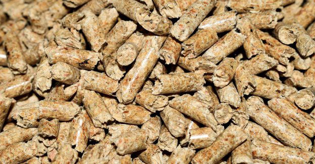 Gops w Świdnicy rozpoczął przyjmowanie wniosków na dodatek energetyczny: pellet, biomasę, olej opałowy, drewno kawałkowe, lpg