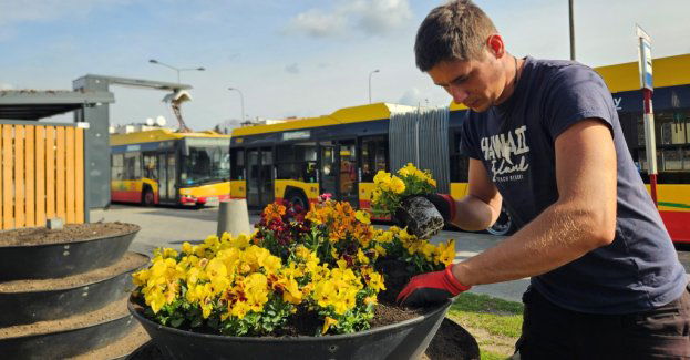 Kolorowo na pętlach komunikacji miejskiej