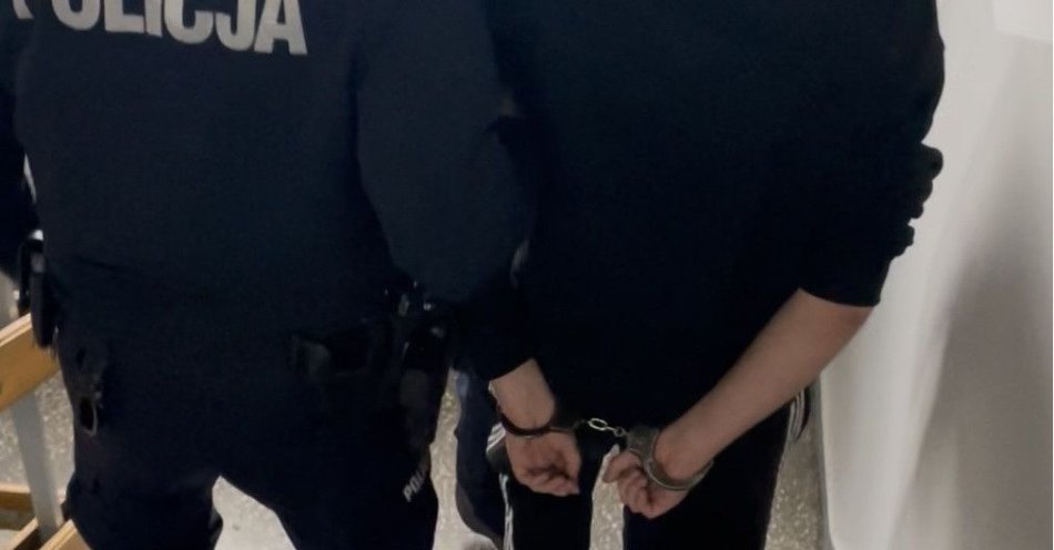 zdjęcie: Pięć zatrzymań narkotykowych w powiecie słupeckim / fot. KPP Słupca Pięć zatrzymań narkotykowych, trzy areszty dla podejrzanych