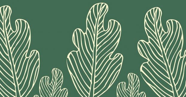 Jedno dziecko - jedno drzewo