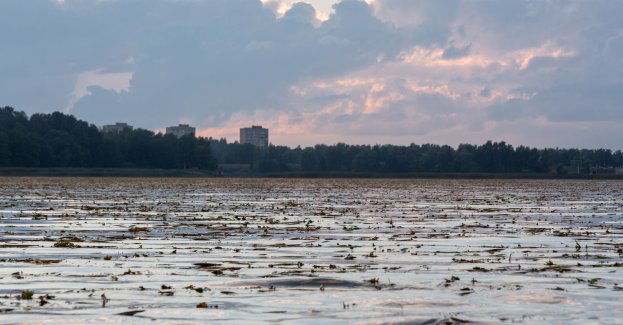 Wznowiono prace przy oczyszczaniu Jeziora Długiego