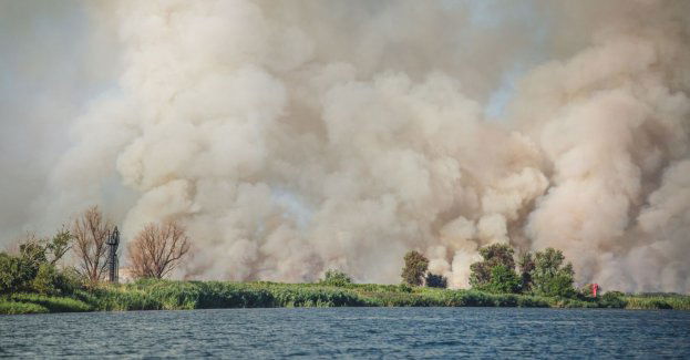 Po akcji gaśniczej marketu pogorszyła się jakość wody w Lubatówce