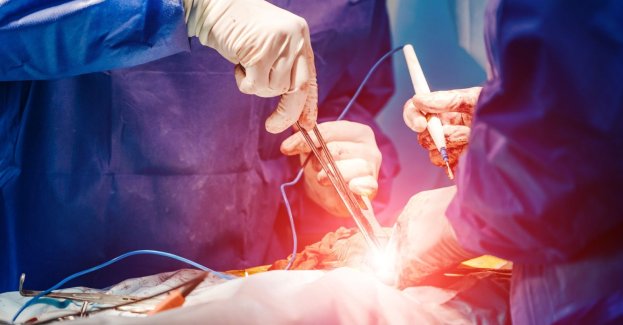 Lekarze ze szpitala św. Barbary wykorzystują osierdzie wołowe do leczenia miażdżycy