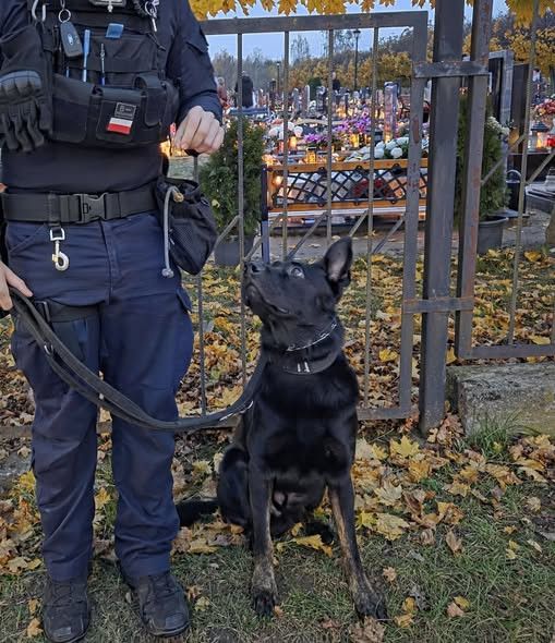 zdjęcie: Policja zapewnia bezpieczeństwo na cmentarzach w Świebodzinie / fot. KPP Świebodzin