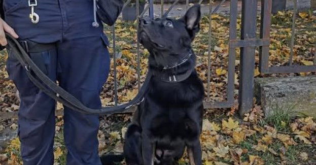 Policja zapewnia bezpieczeństwo na cmentarzach w Świebodzinie