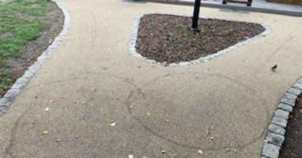 Zniszczyli mienie w parku Starościańskim w Kępnie