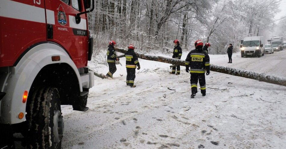 zdjęcie: 2101 interwencji strażaków po opadach śniegu i deszczu ze śniegiem / Dybawka (woj. podkarpackie), 14.01.2017. Strażacy usuwają powalone pod naporem ciężkiego śniegu drzewo blokuje drogę krajową nr 28 w Dybawce, 14 bm. Na Podkarpaciu intensywnie pada śnieg; na drogach w regionie panują skrajnie trudne warunki do jazdy. (dd/zuz) PAP/Darek Delmanowicz